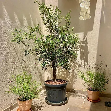 La Townhouse With Private Parking *