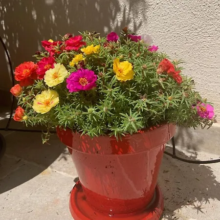 La Townhouse With Private Parking