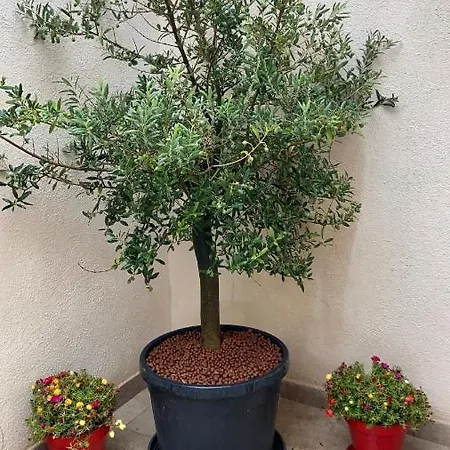 La Townhouse With Private Parking