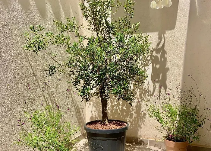 La Townhouse With Private Parking *