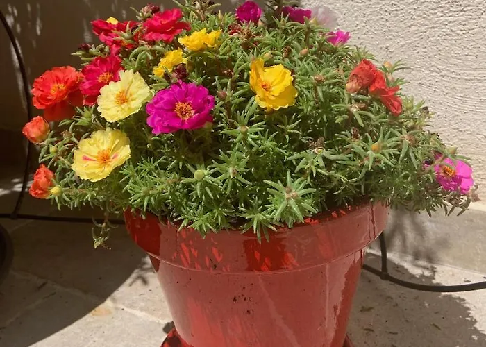 La Townhouse With Private Parking