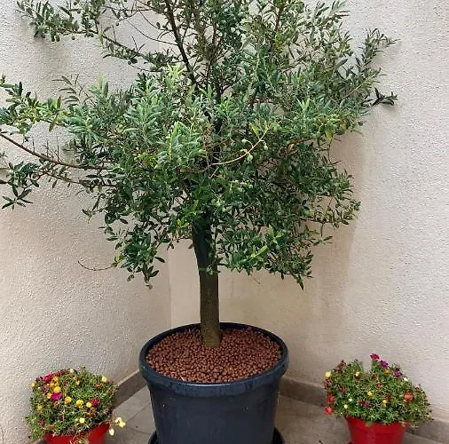 La Townhouse With Private Parking